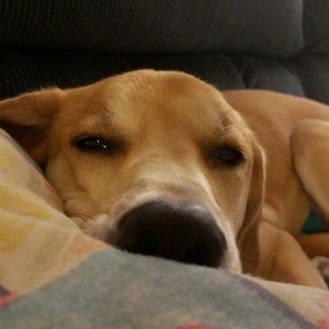 Meet your Posher, Jess